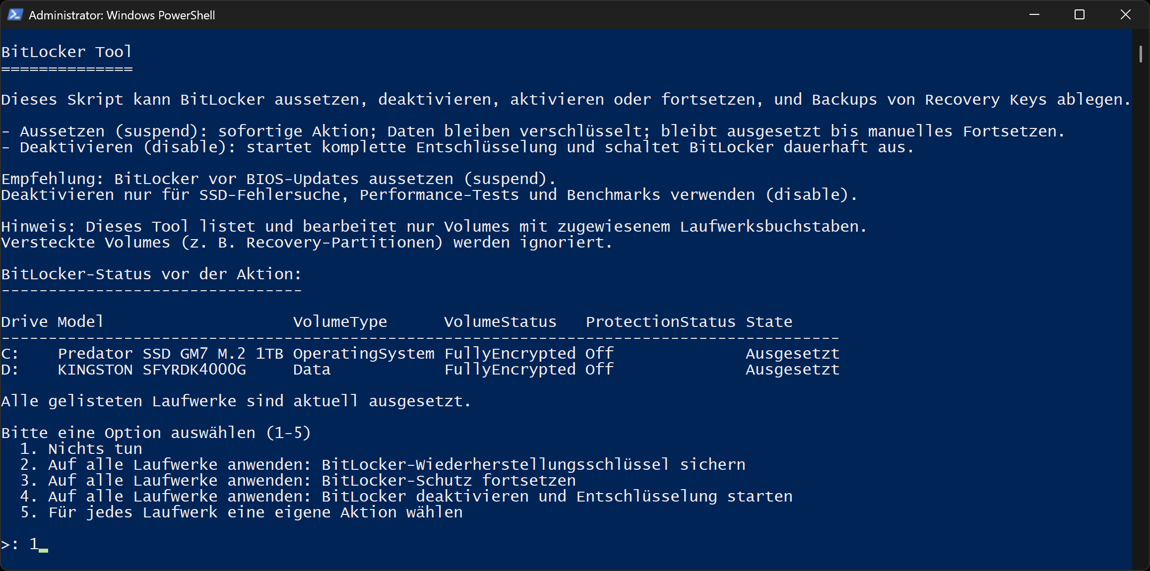 bitlocker-tool-screenshot_de.png