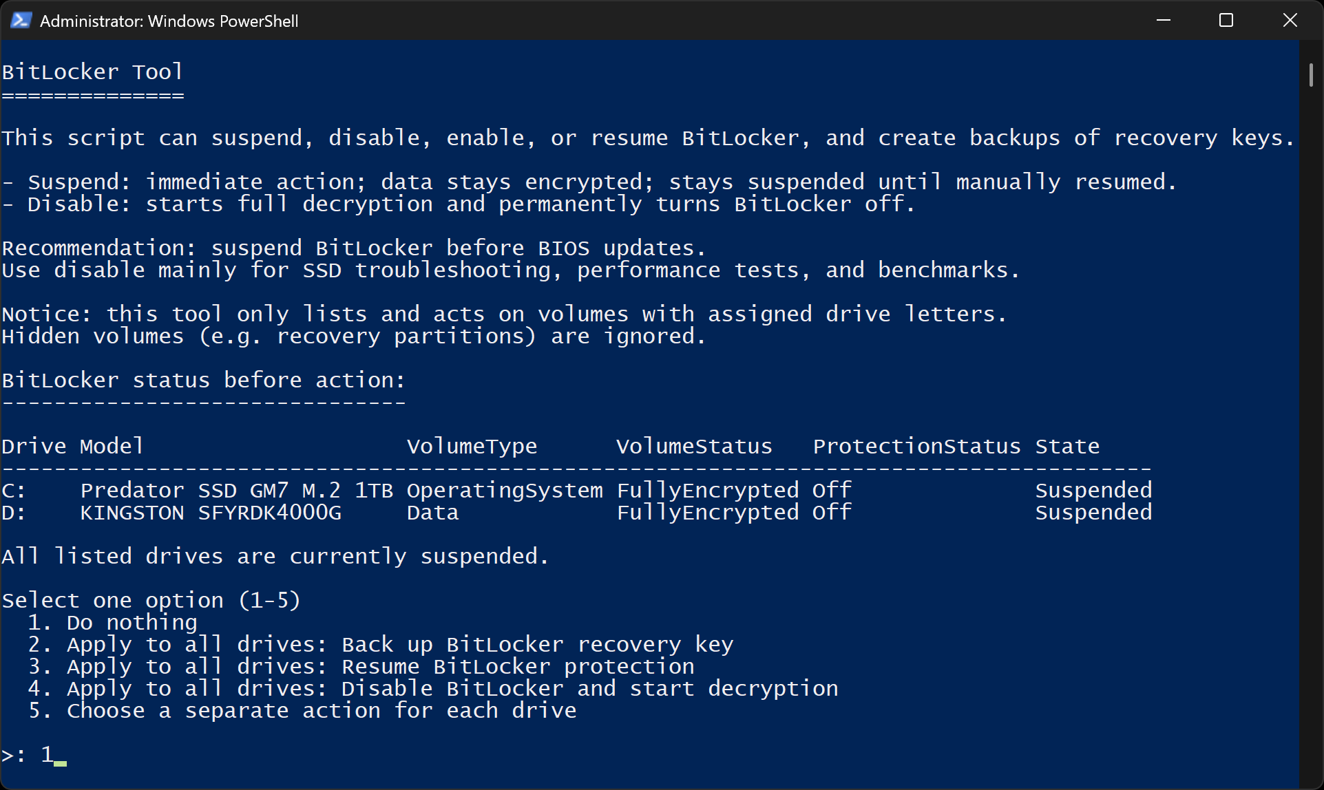 bitlocker-tool-screenshot_en.png